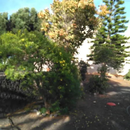 Guest house Jasmina *