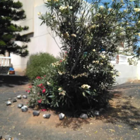 Guest house Jasmina Nazaret